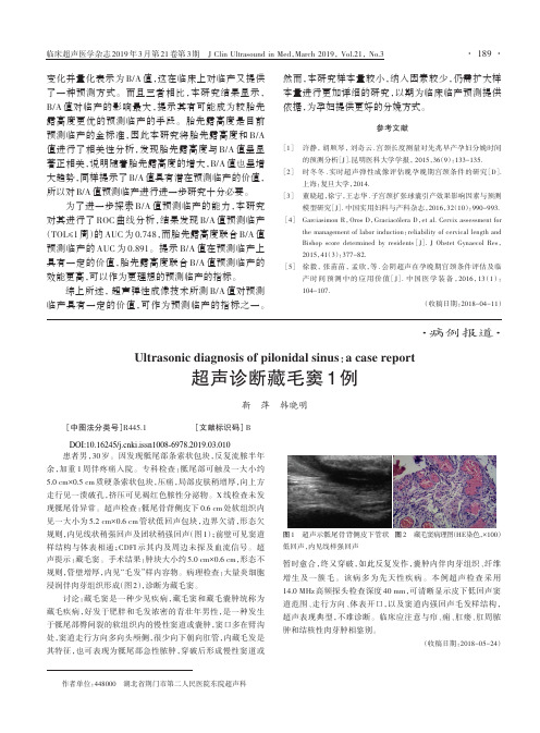 超声诊断藏毛窦1例