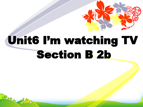 人教七年级英语下U6 《 I’m watching TV》(Section B 2b)(45)
