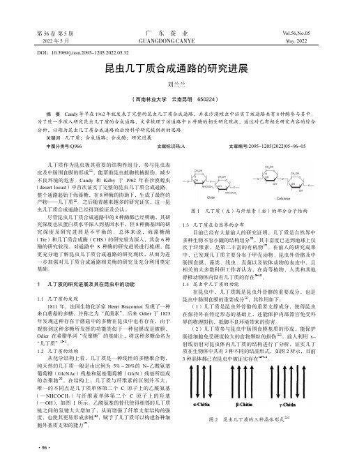 昆虫几丁质合成通路的研究进展