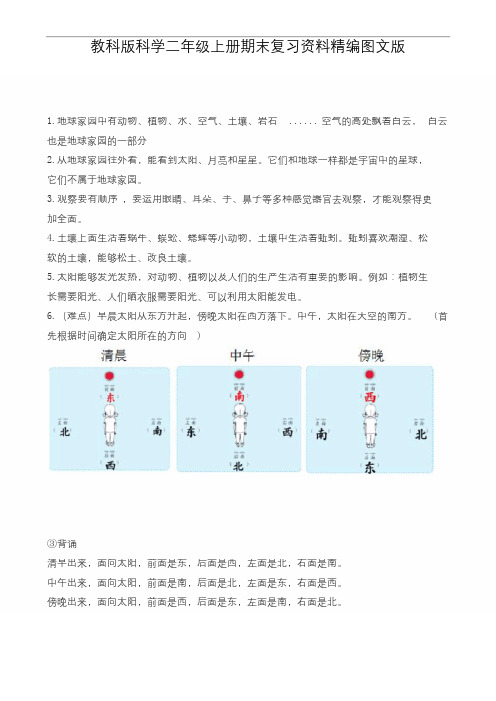 教科版科学二年级上册期末复习资料精编图文版