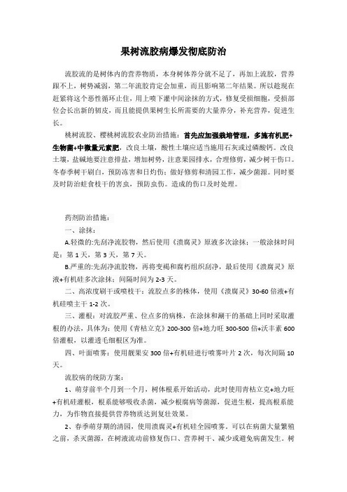 果树流胶病爆发彻底防治