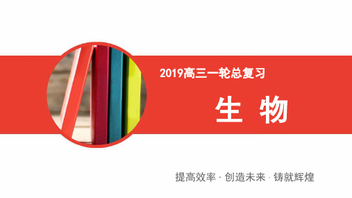 2019高三一轮总复习生物课件：第5单元 第二讲 孟德尔的豌豆杂交实验(二)