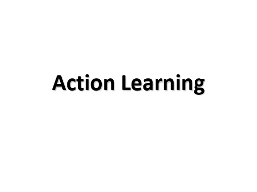 Action Learning