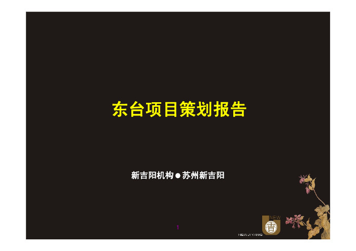 江苏盐城东台某房地产项目策划报告