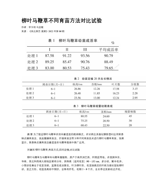 柳叶马鞭草不同育苗方法对比试验