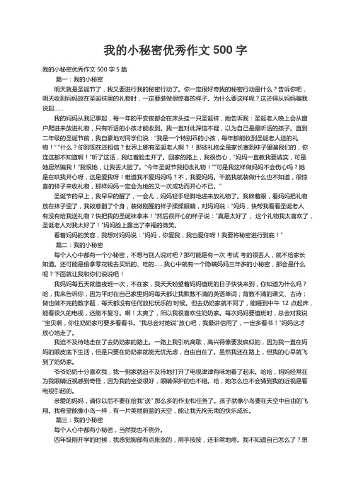 我的小秘密优秀作文500字5篇