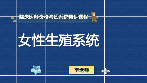 2014女性生殖系统解剖、生理
