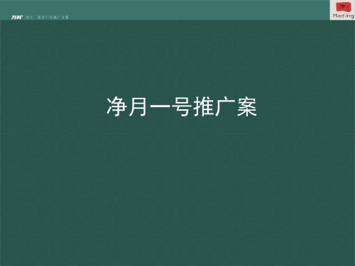 【房地产】马一丁:某地产1净月1号策略案