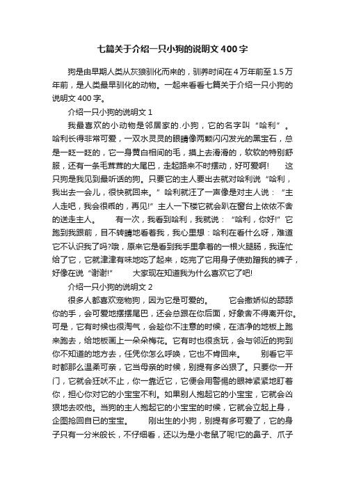 七篇关于介绍一只小狗的说明文400字