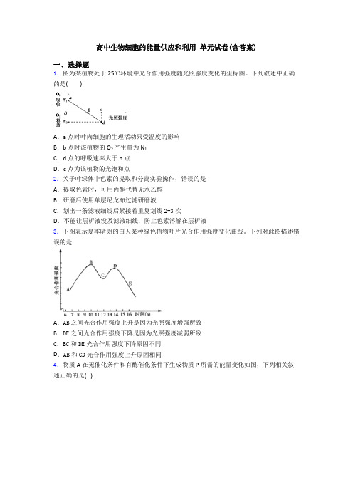 高中生物细胞的能量供应和利用 单元试卷(含答案)