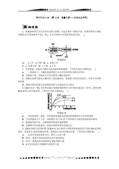 高考生物(新课标通用)一轮复习作业手册：第10讲 能量之源——光与光合作用B Word版含解析[ 高考]