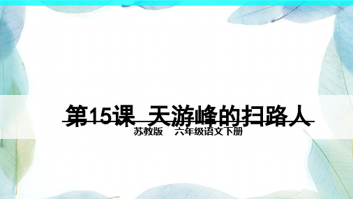 苏教版六年级语文下册15 天游峰的扫路人
