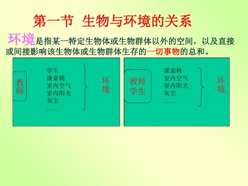 《生物与环境的关系》教学课件6 人教版