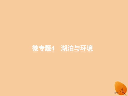 高考地理复习微专题4湖泊与环境省公开课一等奖百校联赛赛课微课获奖PPT课件