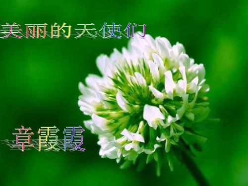 急诊护患沟通技巧课件