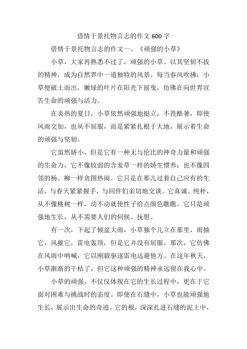 借情于景托物言志的作文600字