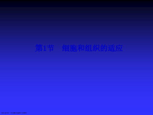 病理课件细胞和组织的适应、损伤与修复整理