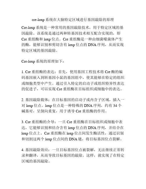 cre-loxp系统在大脑特定区域进行基因敲除的原理