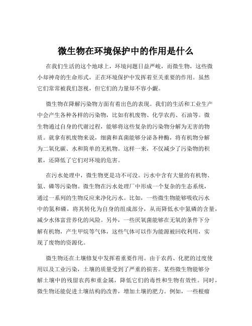 微生物在环境保护中的作用是什么