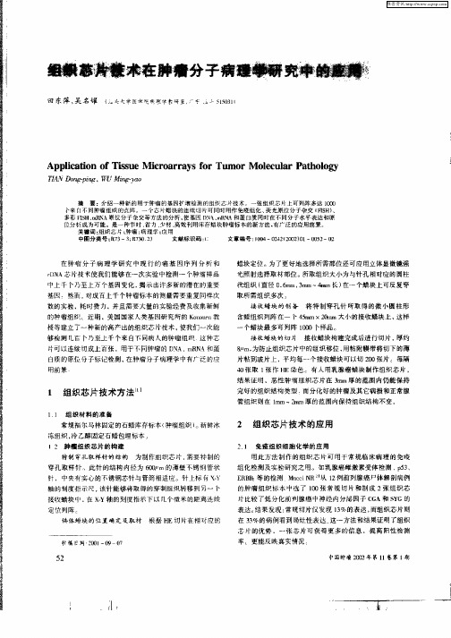 组织芯片技术在肿瘤分子病理学研究中的应用