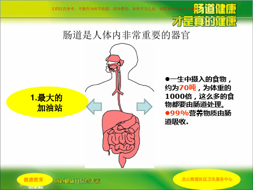 肠道健康科普讲稿课件