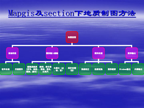 Mapgis及section下地质制图方法