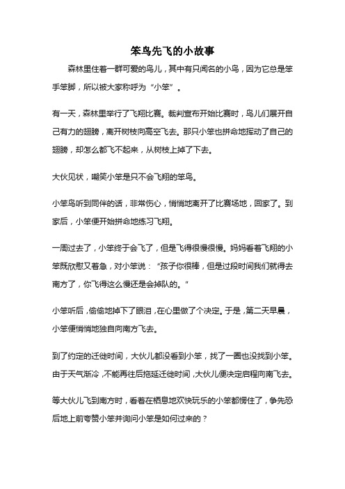 笨鸟先飞的小故事