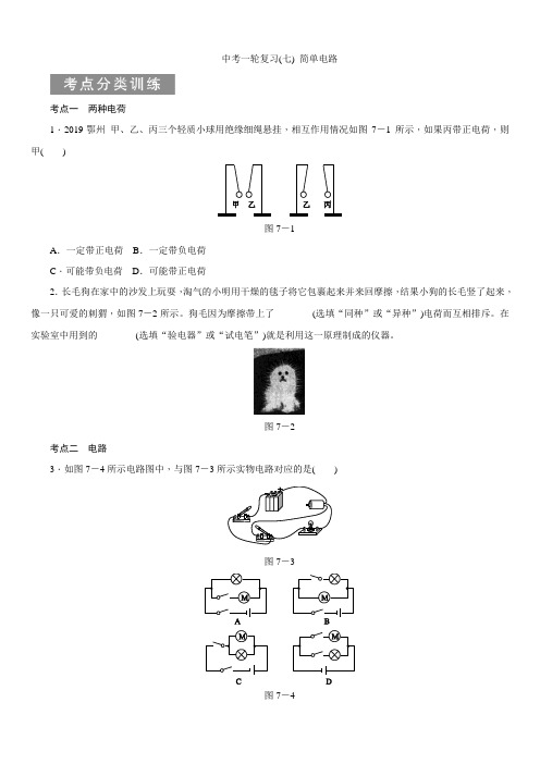 2021年物理中考一轮专项复习(七)  简单电路