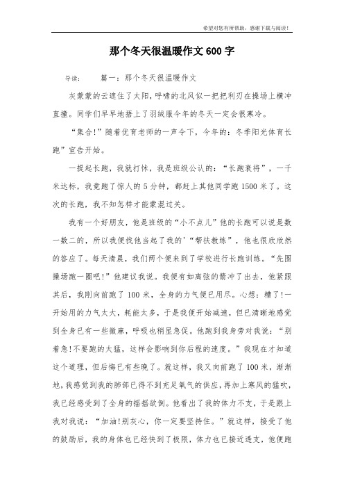 那个冬天很温暖作文600字