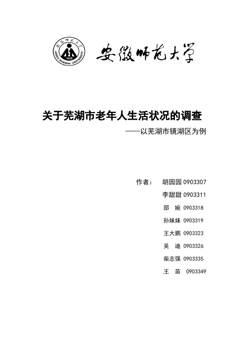 芜湖市老年人养老情况调查报告