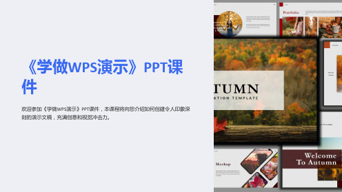 《学做WPS演示》课件