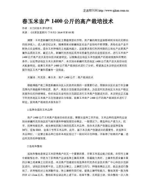 春玉米亩产1400公斤的高产栽培技术