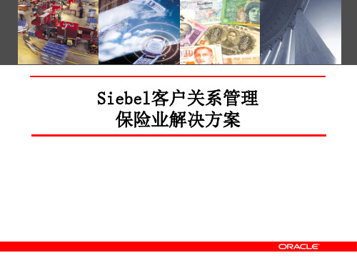 Oracle_Siebel-CRM-_解决方案_-_保险业