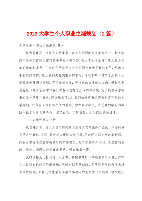 2023年大学生个人职业生涯规划(2篇)