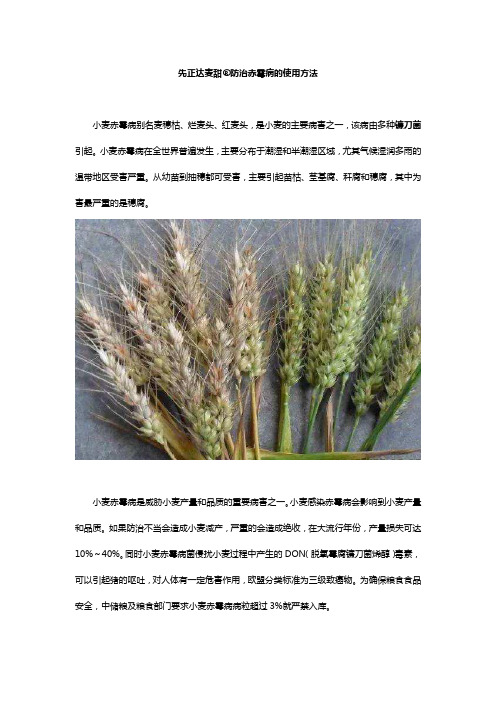 先正达麦甜防治赤霉病的使用方法