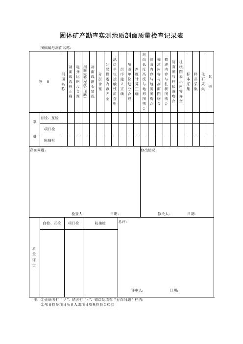 实测地质剖面质量检查记录表