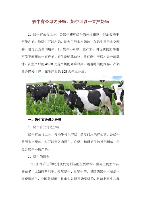 奶牛有公母之分吗,奶牛可以一直产奶吗