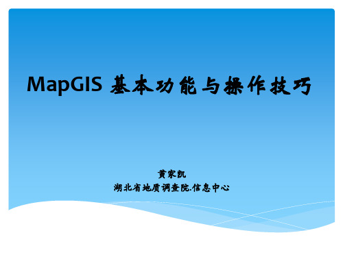 MapGIS 基本功能与操作技巧