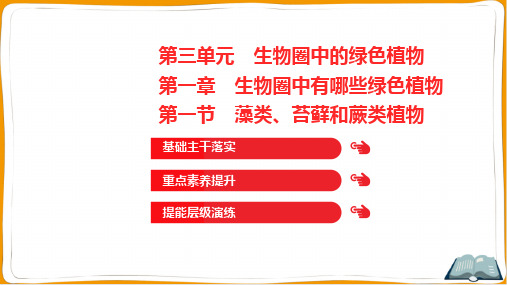 人教版七年级上册生物第三单元生物圈中的绿色植物第一章生物圈中有哪些绿色植物第一节藻类、苔藓和蕨类植物