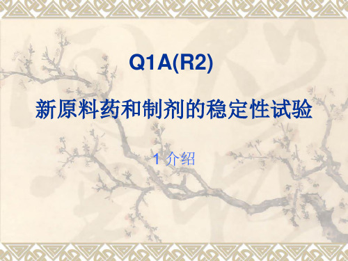 Q1A新原料药和制剂的