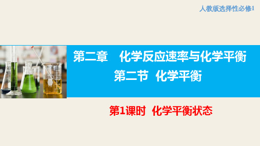 2.2.1 化学平衡状态  课件 高二上学期化学人教版(2019)选择性必修1