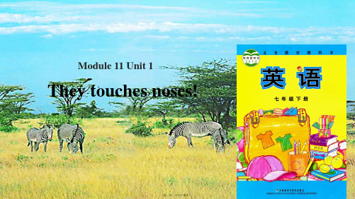 七年级英语下册module11bodylanguageunit1theytouchesnoses