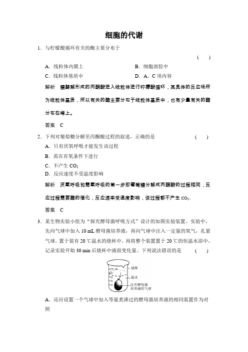 2017届浙科版 细胞的代谢 单元测试