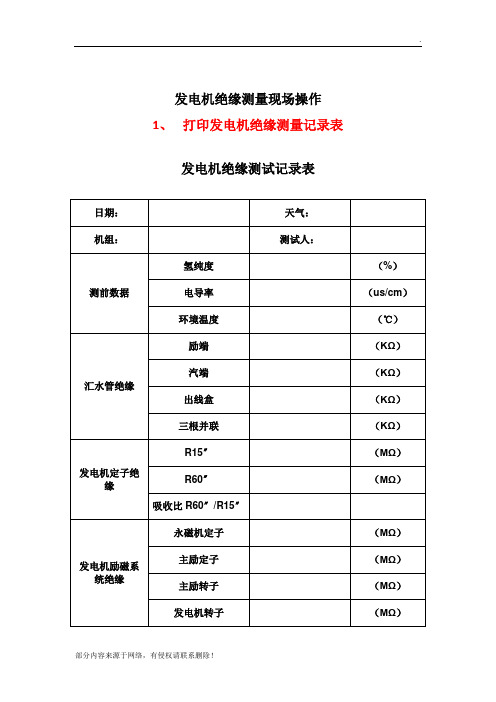 发电机绝缘测量现场操作