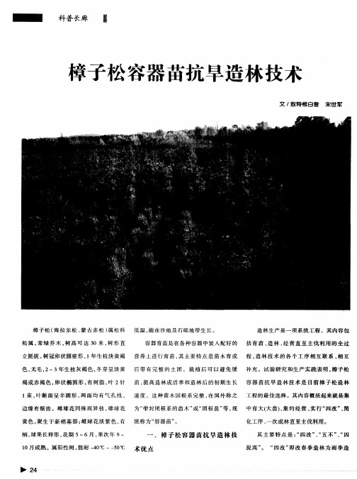 樟子松容器苗抗旱造林技术