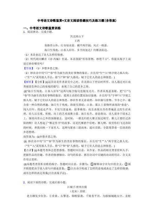 中考语文诗歌鉴赏+文言文阅读答题技巧及练习题(含答案)