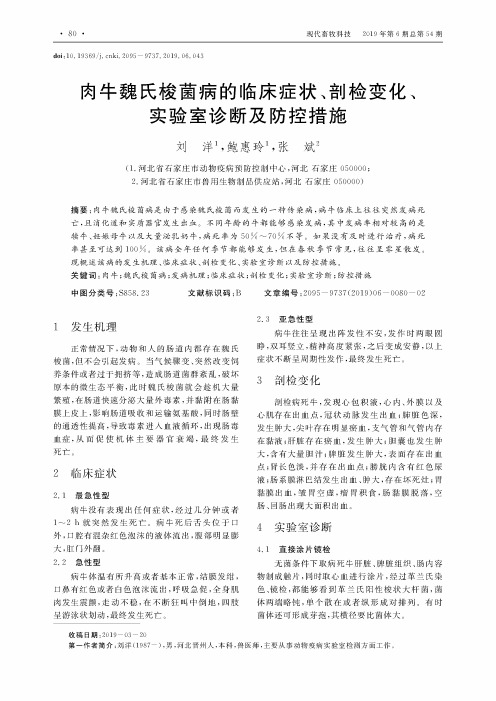 肉牛魏氏梭菌病的临床症状、剖检变化、实验室诊断及防控措施