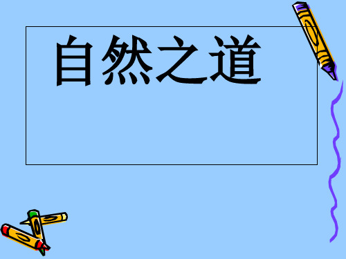 (赛课课件)四年级下册语文《自然之道》(共21张PPT)