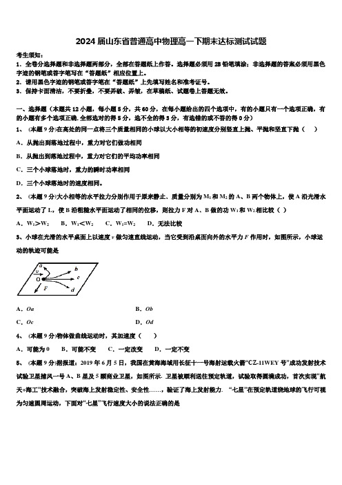 2024届山东省普通高中物理高一下期末达标测试试题含解析