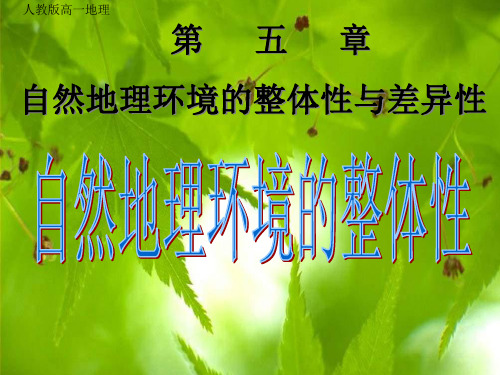 自然地理环境的整体性ppt